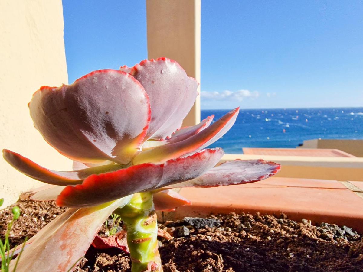 Medano4You The Ocean Terrace Penthouse El Medano  Exterior photo